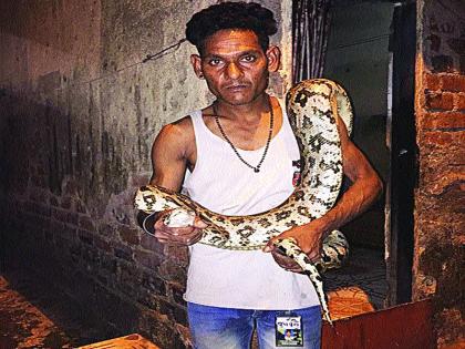 The 10-foot python found in Ghansoli | घणसोलीत आढळला दहा फूट लांबीचा अजगर