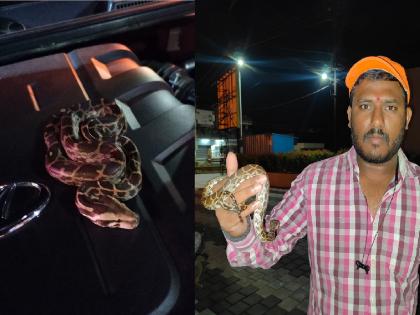 Placed in the car by a python. Thrilling incident in karad satara | ..अन् कारमधून निघाला अजगर, कऱ्हाडात थरार; सर्पमित्रांनी केले ‘रेस्क्यू’