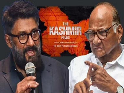 Vivek Agnihotri, director of 'The Kashmir Files' has Taunt To NCP chief Sharad Pawar. | शरद पवारांचा उघड ढोंगीपणा दिसत असतानाही, मी त्यांचा आदर करतो- दिग्दर्शक विवेक अग्निहोत्री