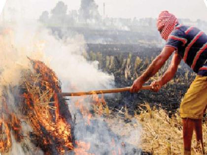 CoronaVirus News: 17 lakh people die due to pollution across the country | देशभरात प्रदूषणामुळे 17 लाख जणांचा मृत्यू; अनलाॅकनंतर पुन्हा झाली प्रदूषणात वाढ