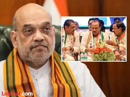 Ajit Pawar met Amit Shah along with Sunil Tatkare, Praful Patel, which issue was discussed? | अजित पवारांनी तटकरे, पटेलांसह घेतली अमित शाहांची भेट, कोणत्या मुद्द्यावर चर्चा?