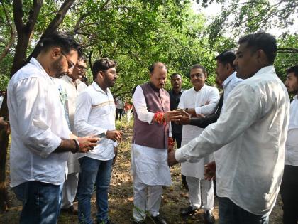 panchnama of orange fruit drop immediately ncp dcm ajit pawar instructions to the district collector | संत्राच्या फळगळीचे पंचनामे तातडीने करा; अजित पवार यांचे जिल्हाधिकाऱ्यांचे निर्देश