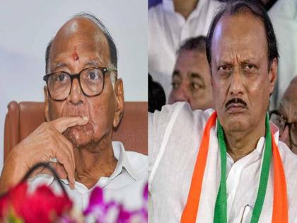  Maharashtra assembly vidhan sabha election 2024 NCP leader Ajit Pawar criticized Sharad Pawar | मी केलं तर ती चूक आणि इतरांनी केलं तर ते बरोबर; अजित पवारांचा शरद पवारांना टोला