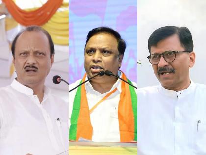 ncp ajit pawar support bjp ashish shelar over thackeray group mp sanjay raut statement about vidhan sabha | Maharashtra Politics: “आशिष शेलारांच्या मताशी सहमत, संजय राऊतांना...”; अजित पवारांनी स्पष्टच सांगितले