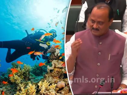 Maharashtra Budget 2024: International standard scuba diving center project to be held in Sindhudurga | Maharashtra Budget 2024: कोकणसाठी छप्पर फाडके निधीची तरतूद, सिंधुदुर्गात होणार आंतरराष्ट्रीय दर्जाचा स्कुबा डायव्हिंग सेंटर प्रकल्प