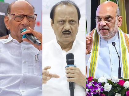 Ajit Pawar reacts to Amit Shah's criticism of Sharad Pawar | अमित शहांनी शरद पवारांवर केलेल्या टीकेवर अजित पवारांची दोन शब्दात प्रतिक्रिया; म्हणाले...