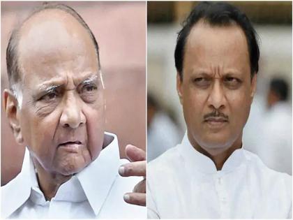 Even in Marathwada, Ajit Pawar got support; Fauzia Khan, Rajesh Tope loyal to Sharad Pawar! | मराठवाड्यातही अजितदादांचेच पारडे जड; फौजिया खान, राजेश टोपे शरद पवारांशी निष्ठावान!