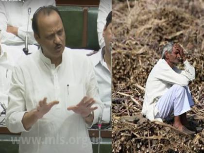 Budget Session 2023: How many farmer suicides during which government? Ajit Pawar presented the statistics | Budget Session 2023 : कोणत्या सरकारच्या काळात किती शेतकरी आत्महत्या? अजित पवारांनी आकडेवारीच मांडली