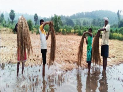 Unexpected double crisis with corona on farmers | मागोवा 2020: शेतकऱ्यांवर कोरोनासह अवकाळीचे दुहेरी संकट