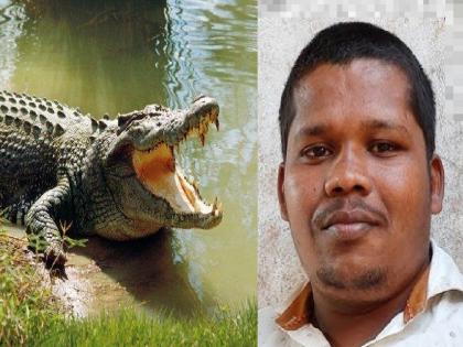 Youth from Ankalkhop killed in crocodile attack | Sangli: पोहायला गेला, मगरीच्या हल्ल्यात अंकलखोप येथील युवक ठार झाला Youth from Ankalkhop killed in crocodile attack | Sangli: पोहायला गेला, मगरीच्या हल्ल्यात अंकलखोप येथील युवक ठार झाला