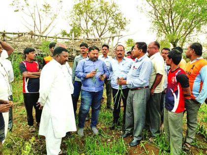 Most damaged by storm winds and hailstorms in Sangrampur, Nandura, Khamgaon. | वादळी वारा व गारपिटीने संग्रामपूर, नांदुरा, खामगावात सर्वाधिक नुकसान!