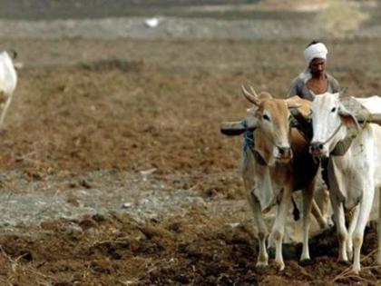 Submiting farmers' lists avoided | शेतकऱ्यांच्या याद्या जमा करण्याचा मुहूर्त टळला!