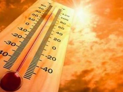 Sunburn on the first day of Navatapa; Akola has the highest temperature in the state | नवतपाच्या पहिल्याच दिवशी उन्हाचा तडाखा; राज्यात अकोल्याचे तापमान सर्वाधिक