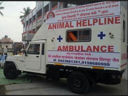 Ambulance facility for the life of animals, treatment of 300 animals throughout the year | प्राणीमात्रांच्या जिवासाठी रुग्णवाहिकेची सोय, वर्षभरात ३०० पशूंवर उपचार