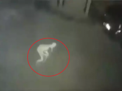 Watch Viral Video of Spooky Pale Creature Caught On Camera In Us, People Says Aliens | Viral Video: अमेरिकेत आढळला एलियन; CCTV कॅमेऱ्यात दिसला विचित्र प्राणी, पाहा चकीत करणारा व्हिडिओ