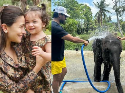 Alia Bhatt revealed Ram Charan adopted an elephant in the name of her daughter Raha Kapoor | सुप्रसिद्ध अभिनेत्याने दत्तक घेतलेल्या हत्तीला दिलं आलिया भटच्या लेकीचं नाव, अभिनेत्रीने सांगितला खास किस्सा