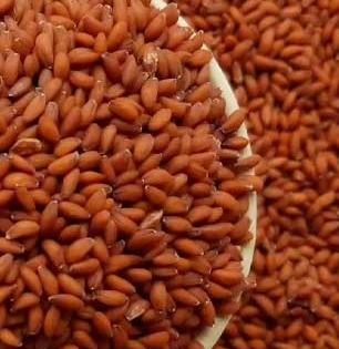 थंडीत अळिव आहारात असायलाच हवेत, उष्णता आणि उब देणारा जबरदस्त पदार्थ - महिलांसाठी खास