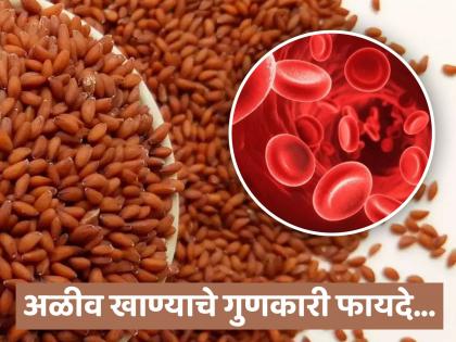 health tips benefits of aliv seeds increase hemoglobin in body know what expert says | शरीरातील रक्ताची कमतरता दूर करेल अळीव; आजच करा सेवन, आजारही होतील गायब