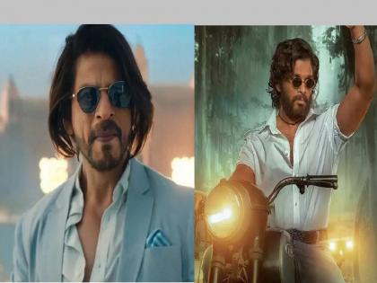 Shahrukh Khan Dunki and Allu Arjun pushpa-2 to be clashed at box office on christmas 2023 | Dunki-Pushpa 2: अल्लू अर्जुन शाहरुख खानशी भिडणार; 'डंकी' आणि 'पुष्पा-2' एकाच दिवशी रिलीज होणार