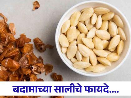 Don't throw almond peel, here are some genius ways to reuse them | तुम्हीही बदामाची साल फेकता का? जाणून घ्या कसा करावा त्यांचा वापर...