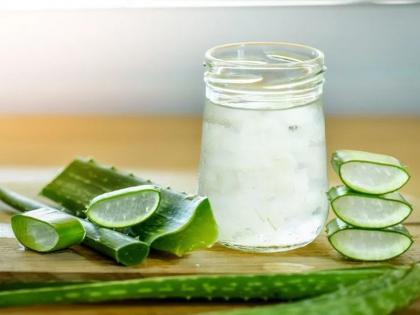 here is how to prepare aloe vera gel at home | घरच्या घरी तयार करा कोरफडीचं जेल; त्वचा होईल तजेलदार आणि फ्रेश