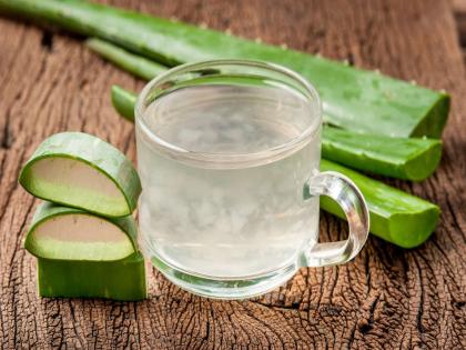 Aloe vera juice benefits for health and beauty | आरोग्य आणि सौंदर्यासाठी कोरफडीचा ज्यूस ठरतो फायदेशीर