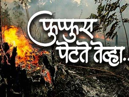 When the lungs of world burn.. explains environment activist Ad Girish Raut | फुफ्फुस पेटते तेव्हा..