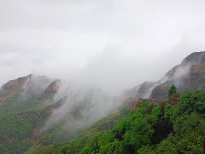 The Mango Ghat connecting Ratnagiri Kolhapur was covered in fog for the first time in May | Kolhapur: प्रथमच मे महिन्यात आंबा घाट हरवला धुक्यात, पर्यटकांची गर्दी