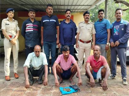 Gavathi planted bomb for hunting purpose, three people arrested in Ambegaon forest  | Sindhudurg: शिकारीच्या उद्देशाने गावठी बॉम्ब पेरले, आंबेगाव जंगलात तिघेजण ताब्यात 