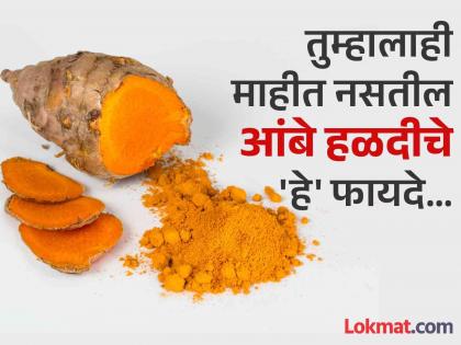 Ayurveda Dr told amazing benefits of amba haldi to fight asthma, cough, arthritis and many more | अनेक गंभीर समस्या दूर करते आंबे हळद, आयुर्वेद डॉक्टरांनी सांगितलं सेवनाची पद्धत...