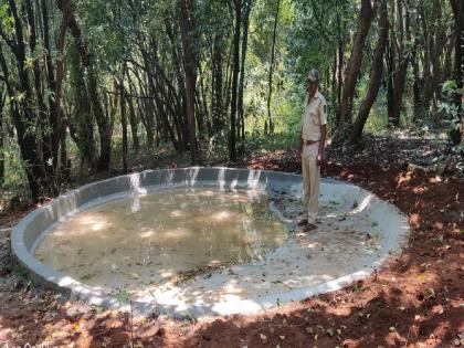 The Amboli Forest Department ongoing drive for water has finally come to an end | आंबोली वनविभागाची पाण्यासाठी सुरू असलेली वणवण अखेर संपली, उपवनसंरक्षकांनी लढवली शक्कल