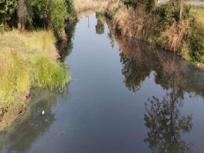 Nagpur | Chemical water released into the Khadak river, Death of aquatic animals including fish | रसायनयुक्त पाणी साेडल्याने कळमेश्वरातील खडक नदी दूषित; माशांसह जलचर प्राण्यांचा मृत्यू 