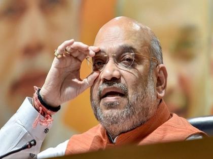 'Amit Shah banned in US if citizenship bill is approved in rajyasabha | 'नागरिकत्व विधेयक मंजूर झाल्यास अमित शहांना अमेरिकेत बंदी घाला' 