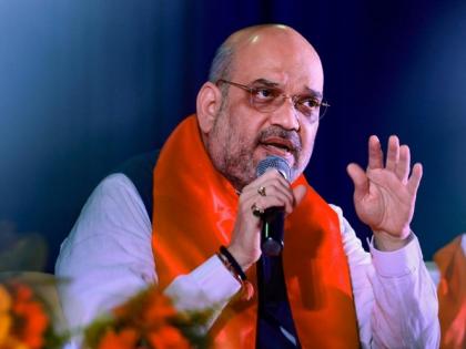 Amit Shah will continue as BJP president till November? | नोव्हेंबरपर्यंत अमित शहा भाजपाच्या राष्ट्रीय अध्यक्षपदी कायम राहणार?