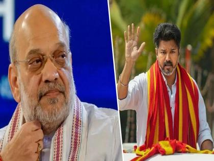 BJP attempt to get actor Vijay with them in Tamil Nadu Politics, New strategy emerges after stampede incident | अभिनेता विजयला सोबत घेण्याचा भाजपाचा प्रयत्न; चेंगराचेंगरीच्या घटनेनंतर समोर आली नवीन रणनीती