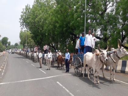 Ballagadi Morcha Amalnerat for Patkar Amendment | पाटचारी दुरुस्तीसाठी अमळनेरात बैलगाडी मोर्चा