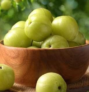 आवळा म्हणजे अमृत पण अनेक लोक आवळे चुकीच्या पद्धतीने खातात, आयुर्वेदतज्ज्ञ सांगतात योग्य पद्धत