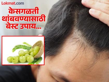 Mix this things with amla oil for hair grow | केस काळे, चमकदार आणि मजबूत करण्यासाठी आवळ्याच्या तेलात टाका 'या' गोष्टी, मग बघा कमाल!