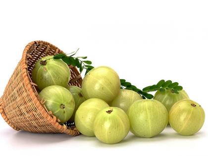 १०० आजारांचं एक औषध आवळा, नियमित खाल तर कधी औषध घ्यावं लागणार नाही!