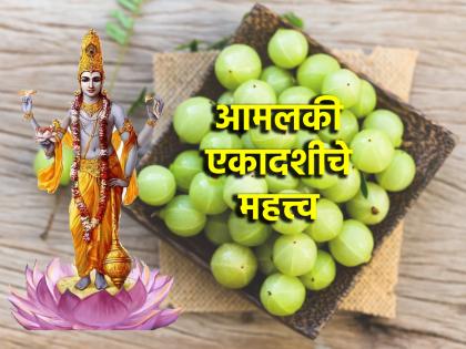 Amalaki Ekadashi 2024 : 20 March Amalaki Ekadashi; Why is Amla tree worshiped on that day? Read on! | Amalaki Ekadashi 2024 :२० मार्च आमलकी एकादशी; आवळ्याच्या झाडाचे पूजन त्या दिवशी का करतात? वाचा!