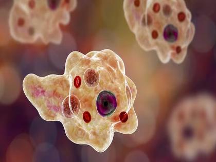 14-year-old boy dies of brain-eating amoeba; Contaminated water causes infection | मेंदू खाणाऱ्या अमिबामुळे १४ वर्षीय मुलाचा मृत्यू; दूषित पाण्यामुळे होतो संसर्ग