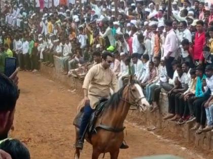 amol kolhe in bull cart race in shirur | Video: "पहिल्या बारी मोऱ्हं घोडी धरणार म्हणजे धरणार", अखेर अमोल कोल्हेंनी घोडी धरली