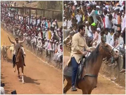 amol kolhe accepting challenge rode on a horse pune latest news | अमोल कोल्हे चॅलेंज स्विकारत घोडीवर स्वार, अन् दंड थोपटत म्हणाले...