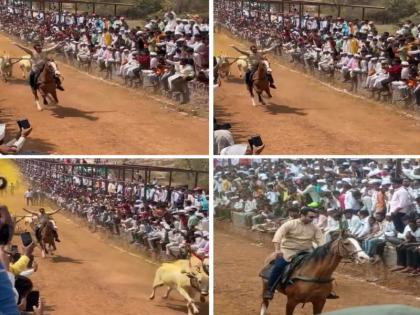 At last Amol Kolhe kept his word Ride on horse in bullock cart race watch video | भिर्रर...! अखेर अमोल कोल्हेंनी शब्द पाळला; बैलगाडा शर्यतीत घोडीवर 'स्वार', पाहा Video