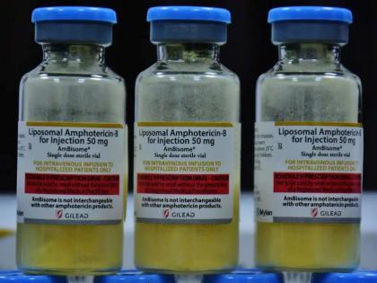 Black Fungus: amphotericin-B deficiency; Used for the treatment of myocardial infarction | Black Fungus: ॲम्फोटेरिसीन-बीची टंचाई; म्युकरमायकोसिसवरील उपचारासाठी केला जातो वापर
