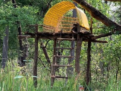 Amravati: Bear's hide under the scaffolding...then fell asleep! | Amravati: मचाणीखाली अस्वलीचा ठिय्या...मग झोपच पळाली!