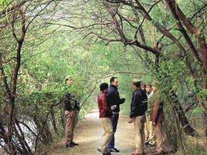 In the name of 'vigilance' in the state forest department, DFOs have zero powers | राज्याच्या वनविभागात ‘दक्षता’ नावापुरताच, डीएफओंना अधिकार शून्य; विभागीय वन अधिकाऱ्यांचे पंख छाटले