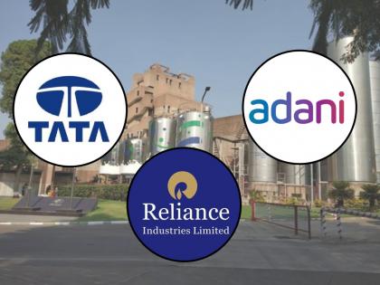 TATA, Adani, RIL नाही, ‘ही’ कंपनी देते सर्वाधिक रोजगार; टर्नओव्हर पाहून व्हाल अवाक्, पाहा