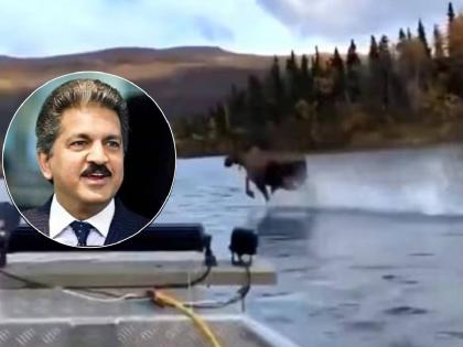 Anand Mahindra, Chairman of Mahindra & Mahindra Company, shared a video and gave an inspiring message  | Anand mahindra: "...तर तुम्ही पाण्यावर देखील धावू शकता", आनंद महिंद्रांनी व्हिडीओद्वारे दिला प्रेरणादायी मेसेज