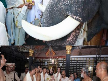अनंत अंबानींची मोठी घोषणा; केरळमधील मंदिरांना ₹१८ कोटींची देणगी, हत्तींच्या देखभालीसाठी करणार मदत